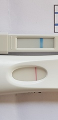 IVF May/June Cycle Buddies