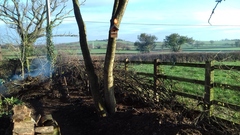 Gardener has wrecked the garden!