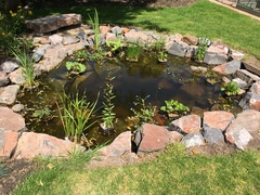 Show me your garden ponds large and small please!