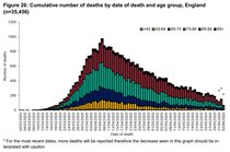 Why does the UK have more daily deaths from Covid than all the EU 27 countries have added together??