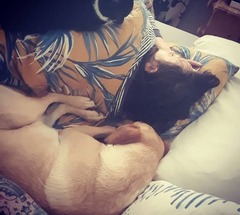 IVF May/June Cycle Buddies