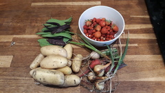 Allotment/Veg Patch Thread 15 - will winter ever end?