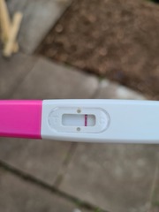 Help...advice needed.