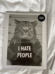 The Lockdown Saving and Spending Continues! May Frugaleers continued