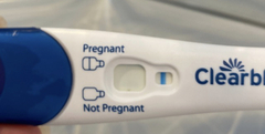 TTC after miscarriage