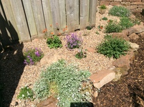 How much would you pay a gardener max?