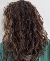 ➿ Fantastic Haircare: Making Sense and Science of the Curly Girl Method
