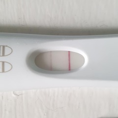 Feb babies 2021