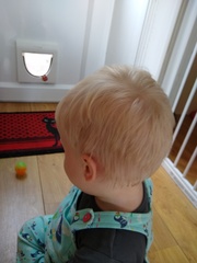 I just ruined my son’s hair!