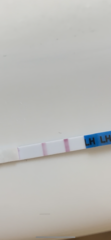 Very near positive OPK then negative 5 hours later?