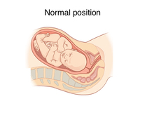 November 2020 babies - thread 7!