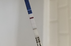Who’s in the 2ww? 7dpo