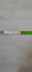 Ovulation test? Advice please...
