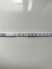 Starting TTC again after missed miscarriage
