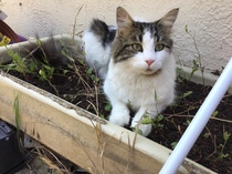 Final Week of Low Carb Bootcamp ... or is it?!