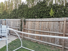 *WIBU* to move my fence back a few inches....