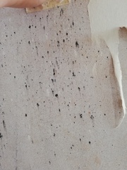 What have we unearthed behind the wallpaper?