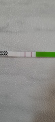 Ovulation test? Advice please...