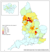 Can you find out how many new virus cases in your area?