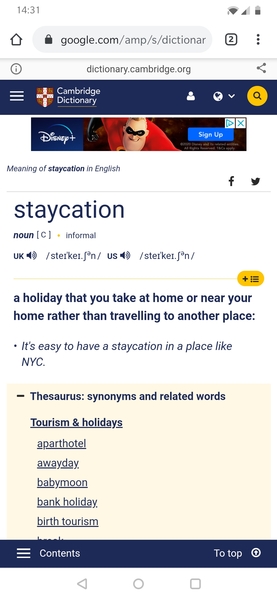to think Staycation means holidaying at home, not in your home country?