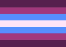 To ask what this (pride?) flag means?