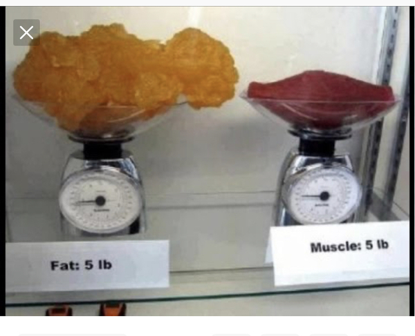 To feel disheartened about not losing weight but losing inches/sizes