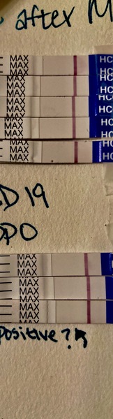 TTC after miscarriage