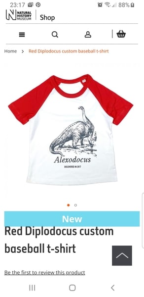 To think the NH museum shop letting girls down?