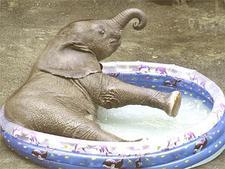 Someone is turning on our outside tap