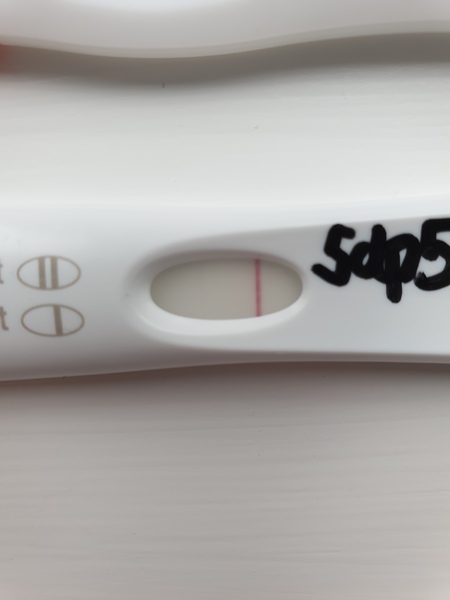 3dp5dt