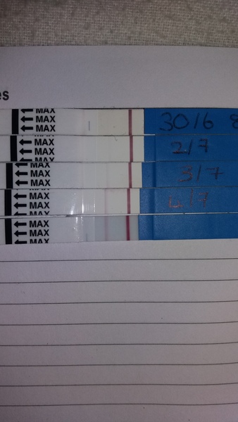 Pregnant after Missed Miscarriage MMC