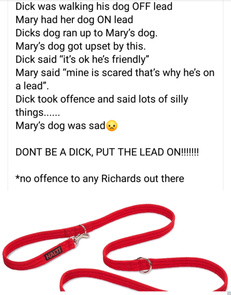 To be utterly exasperated with the ‘but she’s really friendly’ dog owners out there