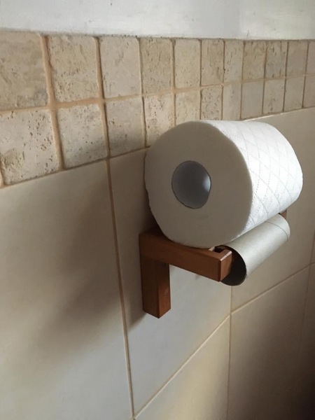 Lockdown life is stressful enough without living with a toilet roll MONSTER