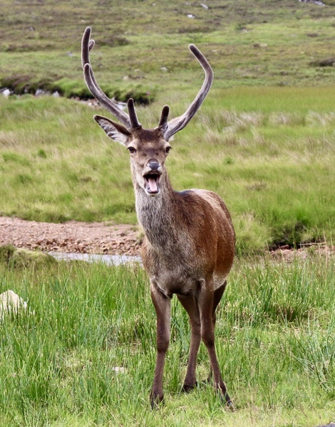 UK holiday - I had the best time out with my camera today