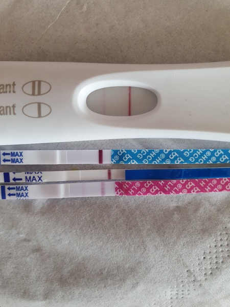 Starting TTC again after missed miscarriage part two