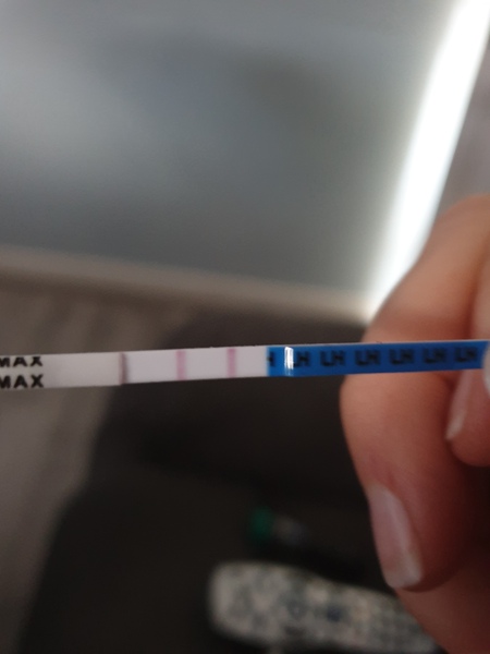 Is this a positive ovulation test? Pic included