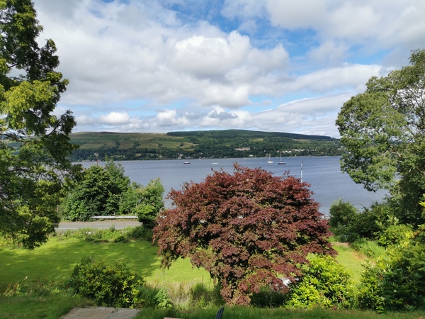 How much for this view?