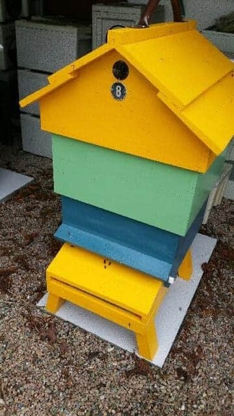 There's about 200 wasps outside my house going bonkers