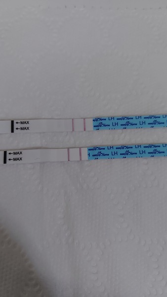 Penguin huddle 🐧🐧🐧 TTC after pregnancy loss - Thread 35 - time for some sticky BFP's