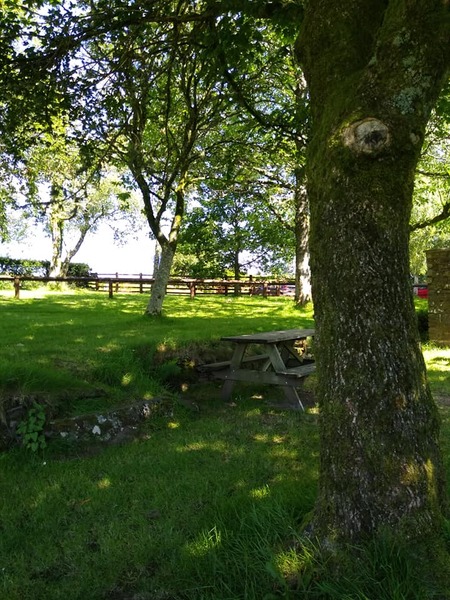 Lockdown (almost) over and frugalling continues!