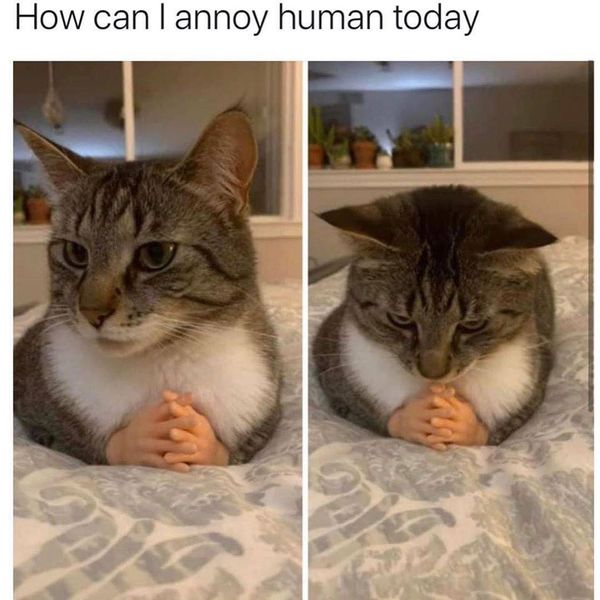 Someone is turning on our outside tap