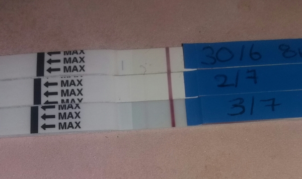 Pregnant after Missed Miscarriage MMC