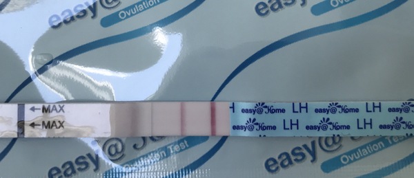 PCOS &a OPKs - Help Please!