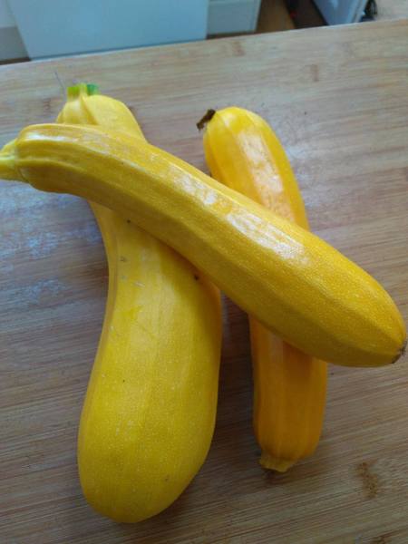 Westminstenders: Operation Shock and Awe