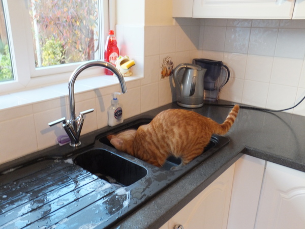 What do I do with my mahogany kitchen worktop?