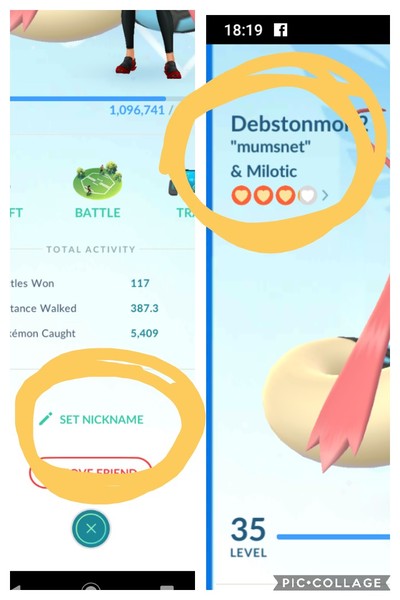 Pokemon Go Thread #29: Are Friends Manectric? Are they?