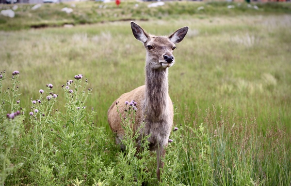 UK holiday - I had the best time out with my camera today