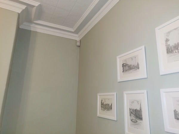 Struggling to find the perfect green paint