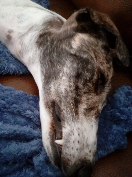 Can't get the fricking lids off these jars!