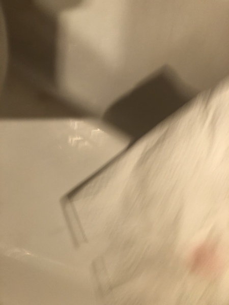 Bleeding at 11+7 (tmi photo)